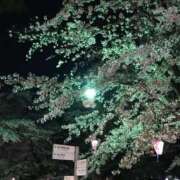 ヒメ日記 2026/03/01 22:01 投稿 あん 熟女デリヘル倶楽部