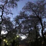 ヒメ日記 2026/03/04 22:01 投稿 あん 熟女デリヘル倶楽部