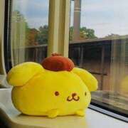 ヒメ日記 2026/03/05 06:00 投稿 あん 熟女デリヘル倶楽部