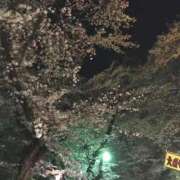 ヒメ日記 2026/03/15 22:00 投稿 あん 熟女デリヘル倶楽部