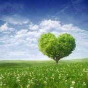 ヒメ日記 2026/03/20 06:00 投稿 あん 熟女デリヘル倶楽部