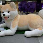 ヒメ日記 2026/03/21 22:02 投稿 あん 熟女デリヘル倶楽部