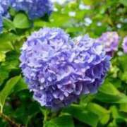 ヒメ日記 2026/03/25 06:00 投稿 あん 熟女デリヘル倶楽部