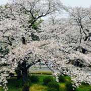 ヒメ日記 2026/04/04 14:01 投稿 あん 熟女デリヘル倶楽部