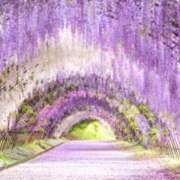 あん 「やりましょう」 熟女デリヘル倶楽部