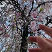 ヒメ日記 2026/04/07 06:00 投稿 あん 熟女デリヘル倶楽部