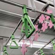 ヒメ日記 2026/04/10 06:00 投稿 あん 熟女デリヘル倶楽部