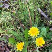 ヒメ日記 2026/04/19 14:45 投稿 あん 熟女デリヘル倶楽部