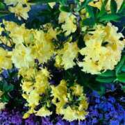 ヒメ日記 2026/04/22 06:00 投稿 あん 熟女デリヘル倶楽部