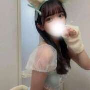 ヒメ日記 2025/09/12 15:51 投稿 あお★プラチナ級エロカワ美女 BUNNY PLAS