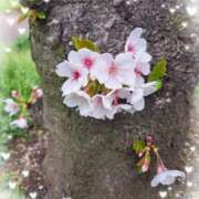 ヒメ日記 2026/03/24 14:52 投稿 かおり 熟女家 東大阪店（布施・長田）