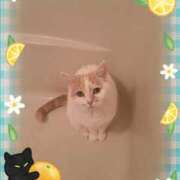 ヒメ日記 2026/03/26 15:15 投稿 かおり 熟女家 東大阪店（布施・長田）