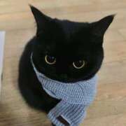 ヒメ日記 2026/02/18 19:58 投稿 桜まな 恋する妻たち