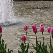 ヒメ日記 2026/02/06 14:06 投稿 まよ 性腺熟女100％鶯谷（デリヘル市場）