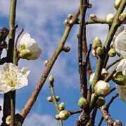 ヒメ日記 2026/02/06 14:33 投稿 まよ 性腺熟女100％鶯谷（デリヘル市場）