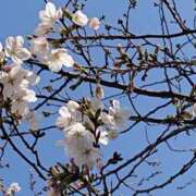 まよ 26日お礼です 性腺熟女100％鶯谷（デリヘル市場）