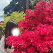 ヒメ日記 2025/09/09 17:00 投稿 りこ 淫乱カンパニー 東金・茂原店