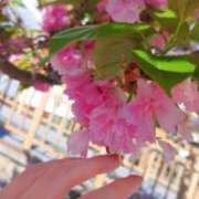 ヒメ日記 2025/10/03 15:00 投稿 りこ 淫乱カンパニー 東金・茂原店