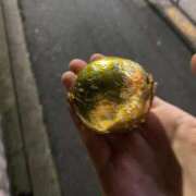 ヒメ日記 2025/12/13 21:10 投稿 ♡しすい♡ 梅田ムチぽよ女学院