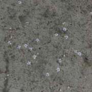 ヒメ日記 2026/04/08 02:20 投稿 ♡しすい♡ 梅田ムチぽよ女学院