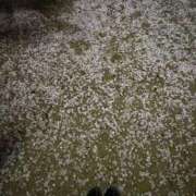 ♡しすい♡ おしらせ 梅田ムチぽよ女学院