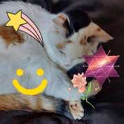 ヒメ日記 2025/09/30 02:58 投稿 かなた 熟女の風俗最終章 沼津店