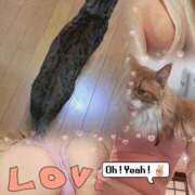 ヒメ日記 2025/10/04 02:58 投稿 かなた 熟女の風俗最終章 沼津店