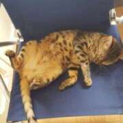 ヒメ日記 2025/10/07 22:31 投稿 かなた 熟女の風俗最終章 沼津店