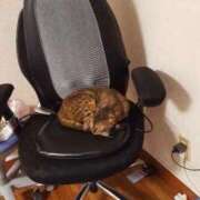 ヒメ日記 2025/10/31 11:28 投稿 かなた 熟女の風俗最終章 沼津店