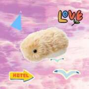 ヒメ日記 2026/01/20 01:48 投稿 かなた 熟女の風俗最終章 沼津店