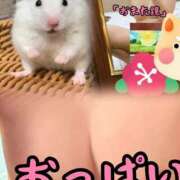 ヒメ日記 2026/03/06 01:03 投稿 かなた 熟女の風俗最終章 沼津店