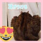 ヒメ日記 2026/06/12 16:55 投稿 かなた 熟女の風俗最終章 沼津店