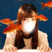 ヒメ日記 2025/12/11 02:39 投稿 まゆか オナクラ大人女子