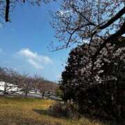 ヒメ日記 2026/04/05 15:29 投稿 すずか オナクラ大人女子