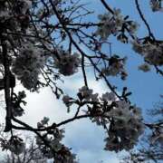 ヒメ日記 2026/04/11 14:39 投稿 すずか オナクラ大人女子