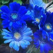 ヒメ日記 2025/09/25 17:49 投稿 みらい オナクラ大人女子