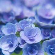 ヒメ日記 2025/09/25 17:59 投稿 みらい オナクラ大人女子