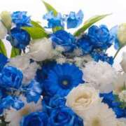 ヒメ日記 2025/09/29 15:49 投稿 みらい オナクラ大人女子