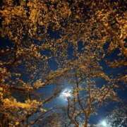 ヒメ日記 2026/04/05 21:09 投稿 ゆの オナクラ大人女子