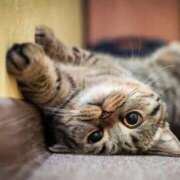 ヒメ日記 2025/12/08 21:49 投稿 さき オナクラ大人女子