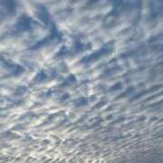 ヒメ日記 2025/09/28 14:20 投稿 えり オナクラ大人女子