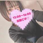 ヒメ日記 2025/11/22 11:37 投稿 なぎさ オナクラ大人女子