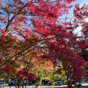 ヒメ日記 2025/10/03 11:59 投稿 るな オナクラ大人女子