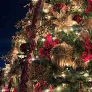 ヒメ日記 2025/12/13 22:09 投稿 しずか オナクラ大人女子