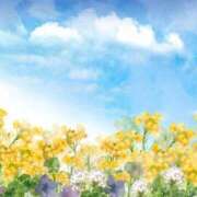 ヒメ日記 2026/01/15 14:49 投稿 しずか オナクラ大人女子