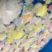 ヒメ日記 2025/09/16 21:49 投稿 りおな オナクラ大人女子