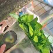 ヒメ日記 2025/09/17 21:47 投稿 りおな オナクラ大人女子