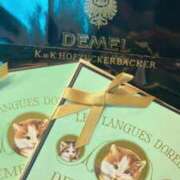 ヒメ日記 2026/02/17 21:45 投稿 りおな オナクラ大人女子