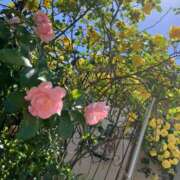 ヒメ日記 2026/03/17 21:49 投稿 りおな オナクラ大人女子