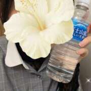 しおり お礼💖11/15 12:00〜 オナクラ大人女子